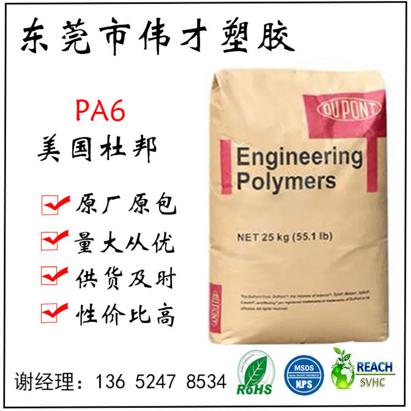 美国杜邦PA6?73G15L NC010